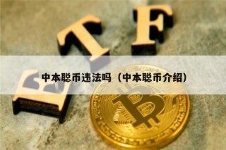 中本聪币违法吗（中本聪币介绍）